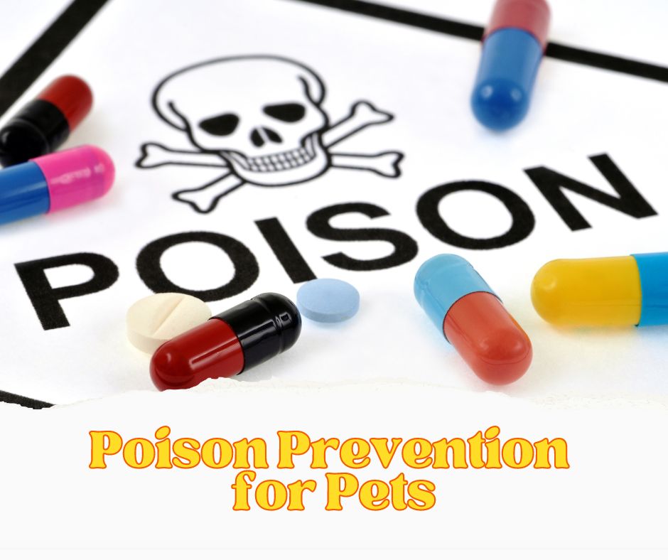 pet poison prevention