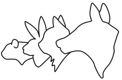 Rock Falls Veterinary Care